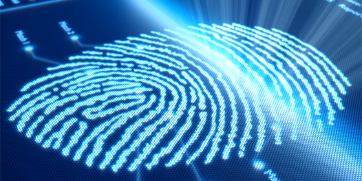 Fingerprint